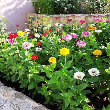 ゲストハウス Guest Deva ブルガス