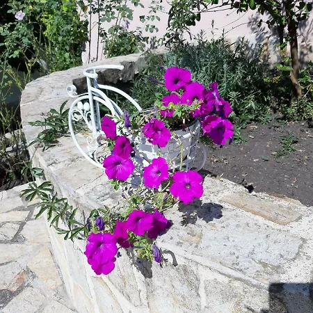 招待所 Guest Deva 3*