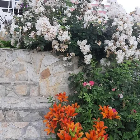 招待所 Guest Deva 3*