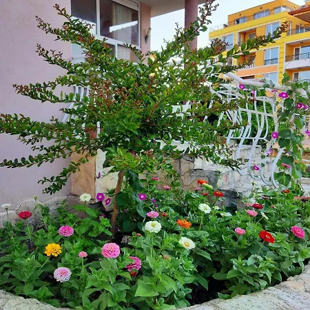 Guest Deva Burgas City
