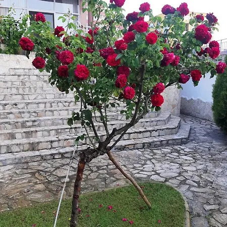 게스트하우스 Guest Deva 3*