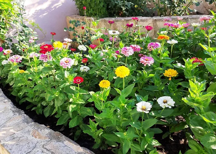 Penzion Guest Deva Burgas City