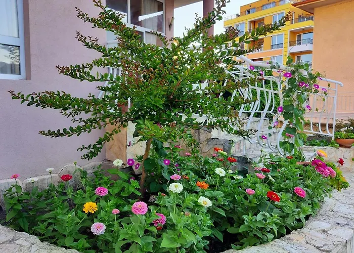 Guest Deva Burgas City