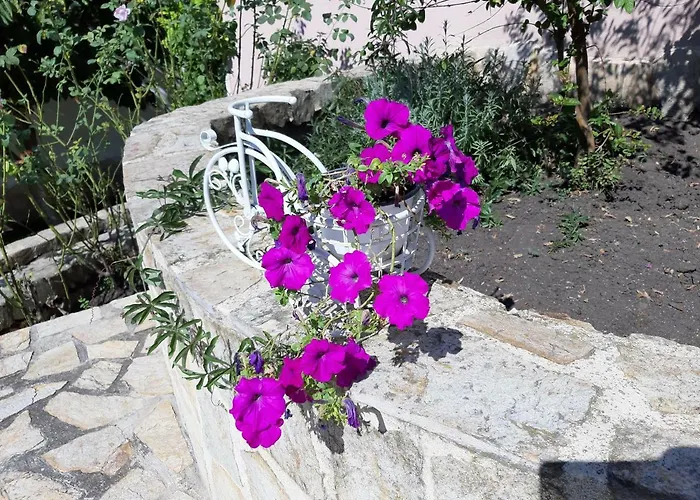 Penzion Guest Deva 3*