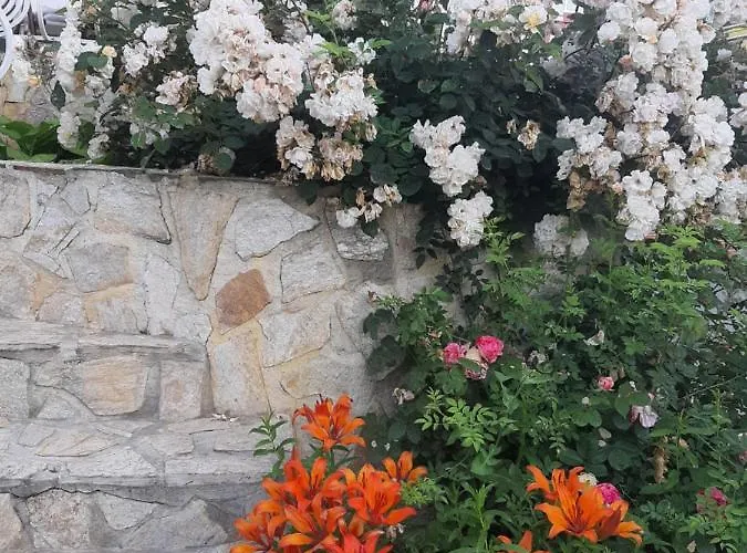 Penzion Guest Deva 3*