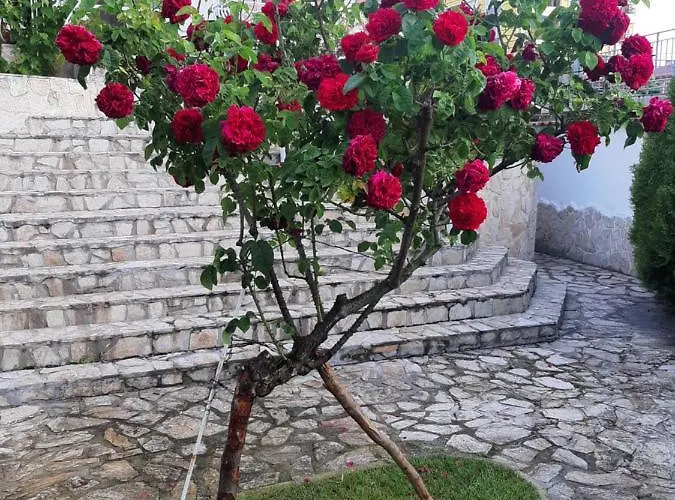 Penzion Guest Deva 3*